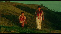 Dead or alive 2