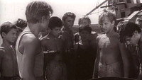 «Черный жемчуг (1958)» — обои к фильму #1