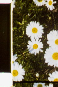 Постер фильма «Seated Figures (1990)» — (3 из 3)