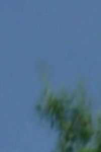 Imagem do Filme Untitled #44 (nightwatch)