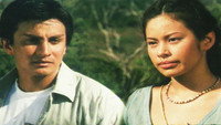 «Masarap na pugad (2002)» — обои к фильму #1