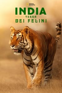copertina serie tv India+Terra+Dei+Felini 2020