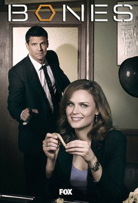 Постер сериала «Кости (2005 - 2017)» — (65 из 181)