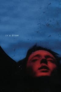 Poster de In A Dream EP Live
