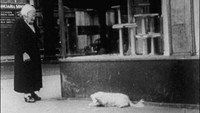 «На улице (1948)» — обои к фильму #1
