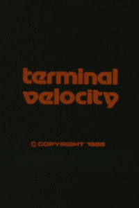 Terminal Velocity
