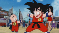 The Tournament Begins