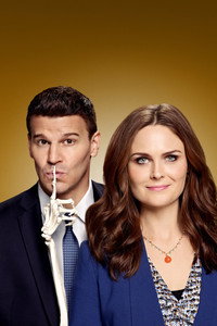 Постер сериала «Кости (2005 - 2017)» — (54 из 181)