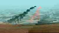 Dune