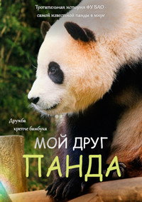 Постер фильма «Мой друг панда (2024)» — (5 из 9)
