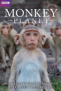 copertina serie tv Monkey+Planet 2014