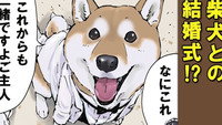 Teach Me, Haru-san / Vow of Servitude / Deer Antlers