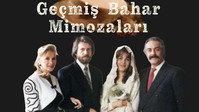 «Мимоза расцвела весной (1989)» — обои к сериалу #1
