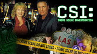«C.S.I. Место преступления (2000-2015)» — обои к сериалу #2