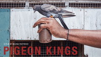«Pigeon Kings (2020)» — обои к фильму #1