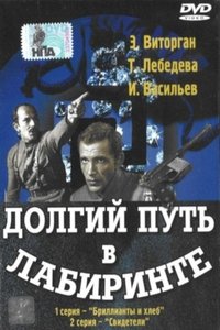 Долгий путь в лабиринте (1981)