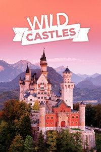 Постер сериала «Wild Castles (2017)» — (2 из 8)