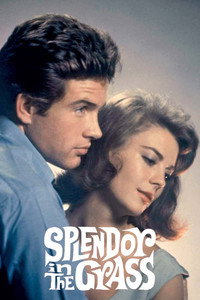 Постер фильма «Великолепие в траве (1961)» — (12 из 32)