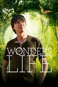 copertina serie tv Wonders+of+Life 2013