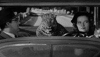 «Воспитание Крошки (1938)» — обои к фильму #9