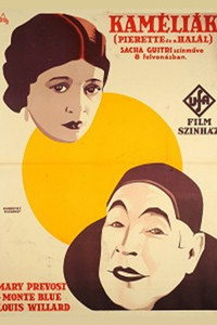 Постер к фильму The Lover of Camille (1924)