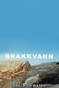 Brakkvann (2007)