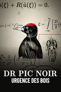 Dr Pic Noir, urgence des bois (2023)