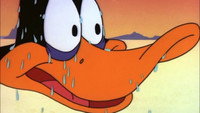 «Aqua Duck (1963)» — обои к мультфильму #1