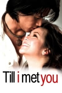 Poster de Till I Met You