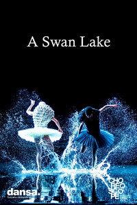 Постер фильма «A Swan Lake (2014)» — (3 из 6)