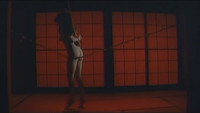 «Kiyoshi shojo shibari (1979)» — обои к фильму #6