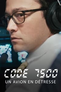 Code 7500 : Un avion en détresse (2019)