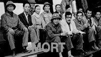 «Vrai faux passeport (2006)» — обои к фильму #1