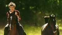 «Угоняя лошадей (2019)» — обои к фильму #2