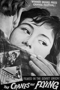 Постер фильма «Летят журавли (1957)» — (4 из 13)