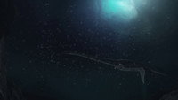 Hunting the Loch Ness Monster