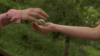 «She Decided Not to Remember (2020)» — обои к фильму #5