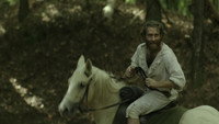 «Tales of the Natchez Trace (2021)» — обои к фильму #3