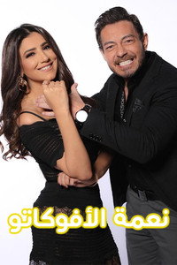 نعمة الأفوكاتو - 2024