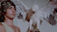 «Секс и астрология (1971)» — обои к фильму #1