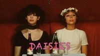 Daisies