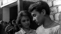 «Приключения Кроша (1961)» — обои к фильму #1
