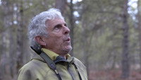 «Langue des oiseaux (2022)» — обои к фильму #9