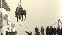 «Саундтрек к государственному перевороту (2024)» — обои к фильму #4