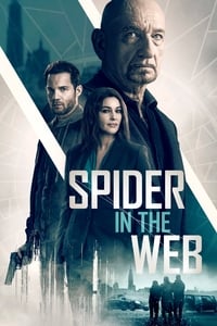 Spider in the Web - 2019