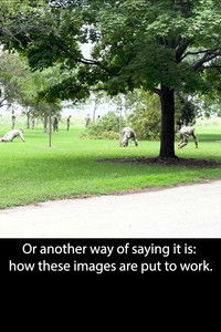 Imagem do Filme An All-Around Feel Good