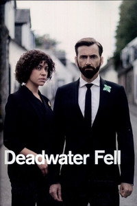 Постер сериала «Падение в мёртвые воды (2020)» — (5 из 12)