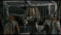Toys in the Attic