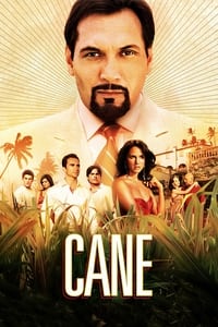 tv show poster Cane 2007