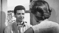 «Стелла (1955)» — обои к фильму #3